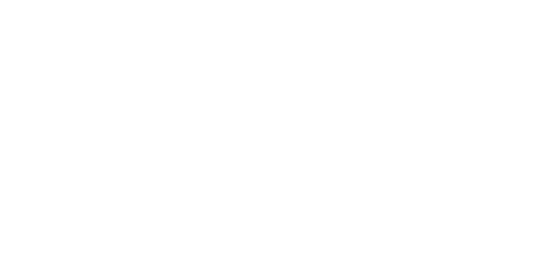 Pro Bounce Logo White
